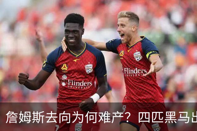詹姆斯去向为何难产？四匹黑马出现加剧混乱